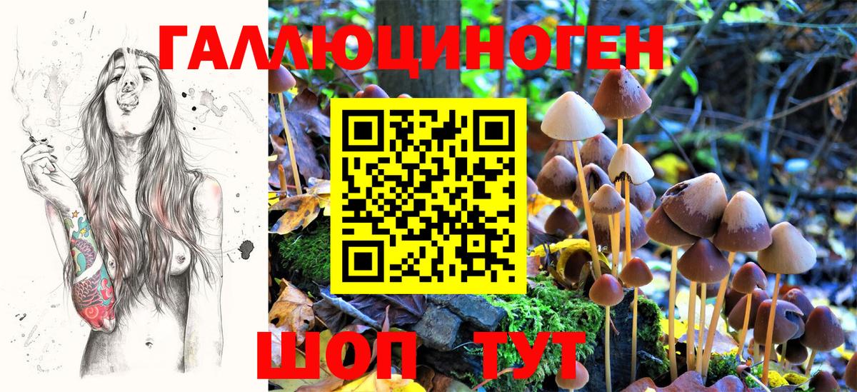 Псилоцибиновые грибы мицелий  Псилоцибиновые грибы Psilocybe  Верхняя Салда  Вход с VPN 
