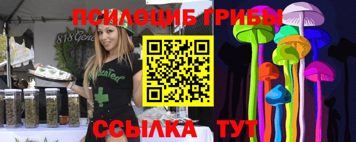 Псилоцибиновые грибы мицелий Верхняя Салда